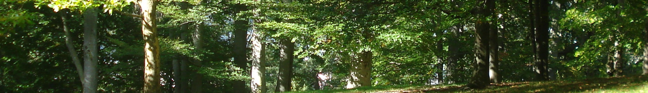 原一宏富士登山写真2025